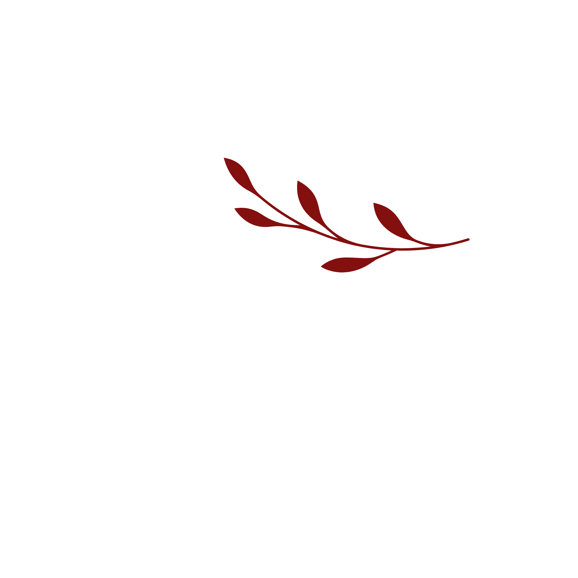 Akino - Premium Panjabi Brand Logo