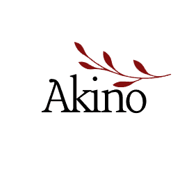 Akino - Premium Panjabi Brand Logo